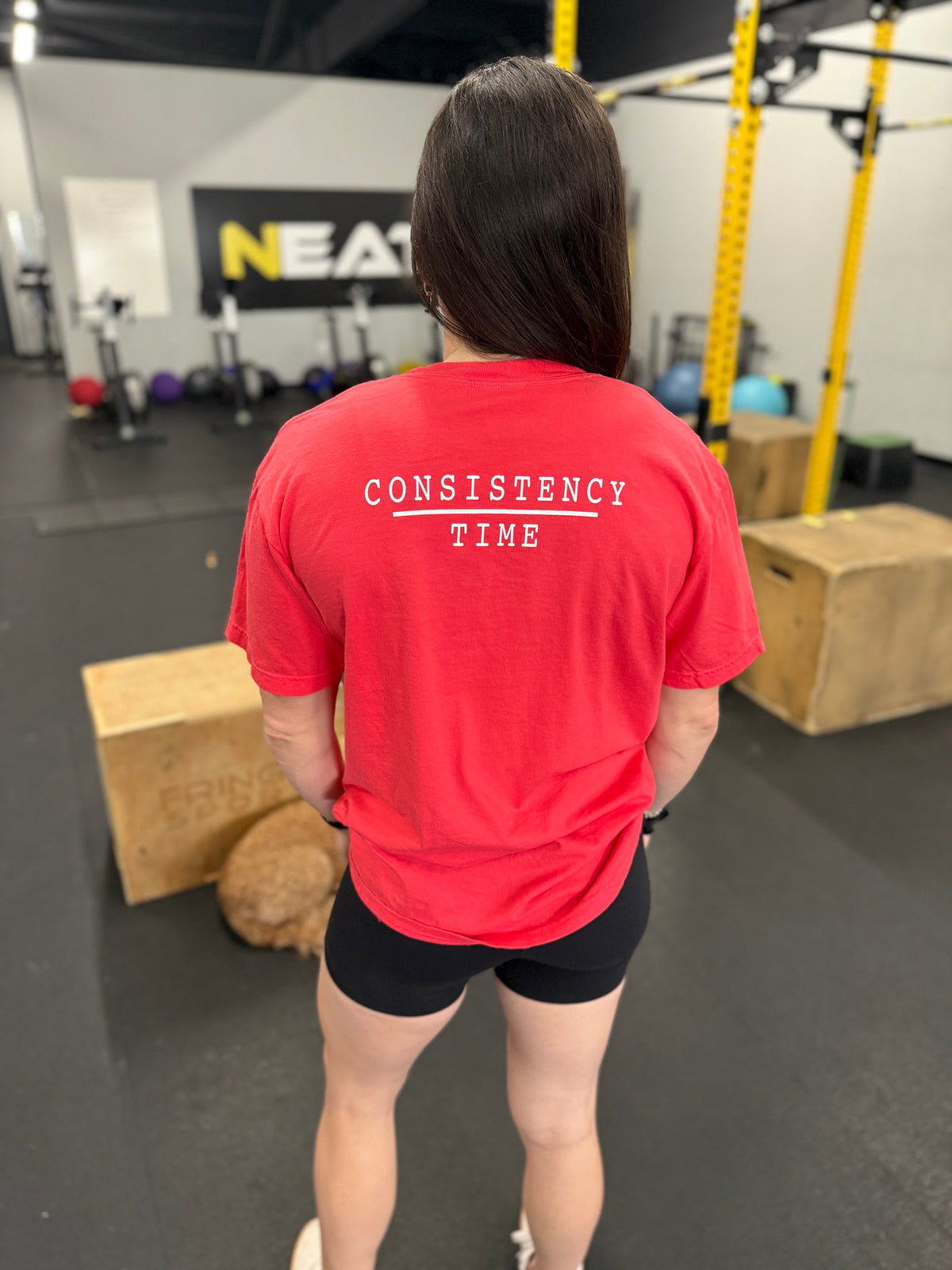 Consistency Over Time - Comfort Colors